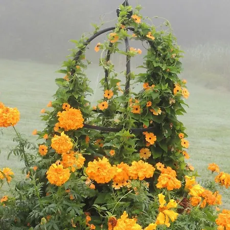 Orangere Et Table D'hotes 3*