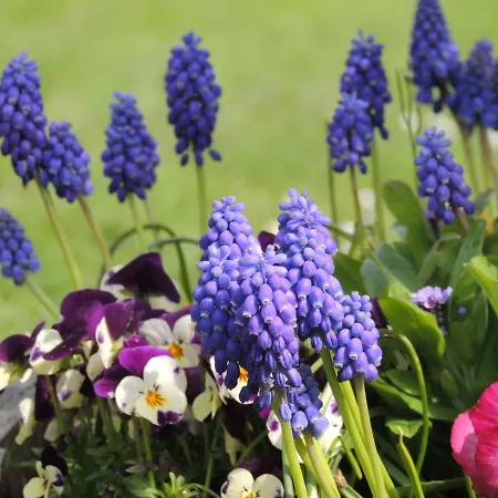 Orangere Et Table D'hotes Vendégház