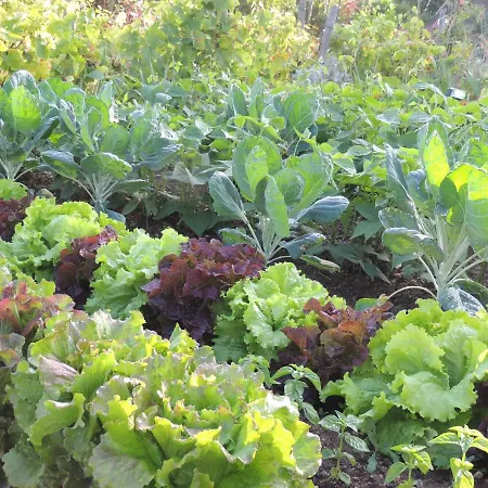 Orangere Et Table D'hotes Bonneuil-Matours