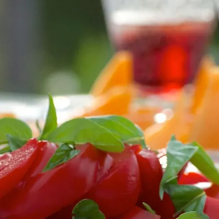 Orangere Et Table D'hotes Vendégház Bonneuil-Matours